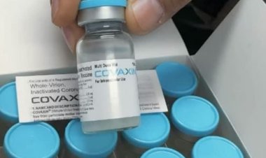 कोरोना से बचाव के लिए प्रदेश भर में अब तक 1.74 करोड़ टीके लगाए गए