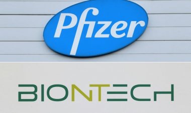 दूसरी कंपनियों को अपनी कोविड दवा को बनाने की इजाजत देगी Pfizer