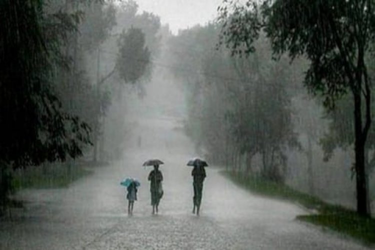 4 से 6 दिसंबर के बीच बस्तर, रायपुर और बिलासपुर संभाग में हल्की से मध्यम बारिश की संभावना