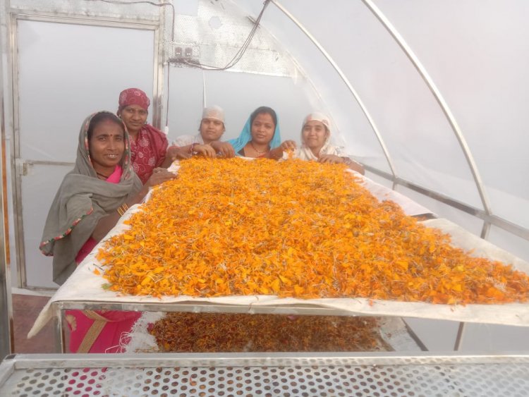 मुख्यमंत्री  भूपेश बघेल 18 फरवरी को लॉन्च करेंगे  गौठानों के उत्पाद के एकीकृत ब्रांड ‘अर्थ‘ को