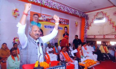 लबरा मुख्यमंत्री को सबक सिखाने,भाजपा को जिताऐ: बृजमोहन