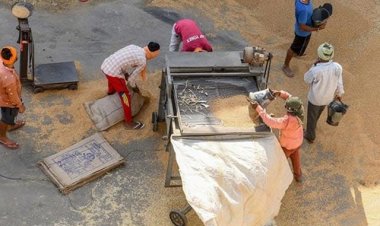 भारत ने गेहूं के निर्यात पर लगाया बैन, तुरंत प्रभाव से प्रतिबंध लागू