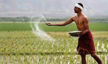केन्द्र से छत्तीसगढ़ को रासायनिक उर्वरकों की मांग की तुलना में कम आपूर्ति