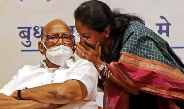 राष्ट्रपति पद के लिए शरद पवार? विपक्ष मिलजुल कर कर रहा नाम पर विचार..