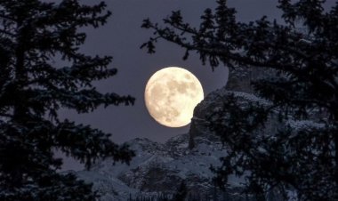 जानिए क्यों मनाई जाती है गुरु पूर्णिमा ?