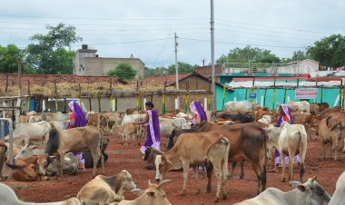 गौठनो में संचालित आजीविका गतिविधियों से महिलाएं हो रही हैं लाभन्वित