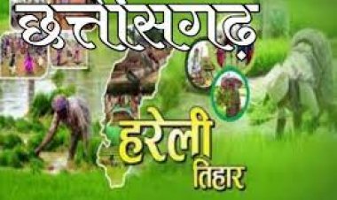 इस बार भी हरेली पर रहेगी धूम