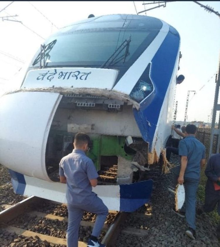 गुजरात में फिर वंदे भारत एक्सप्रेस ट्रेन से टकराए मवेशी, एक महीने में तीसरी घटना
