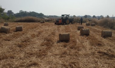 भूमि की उर्वरा शक्ति बढ़ाने और पर्यावरण संरक्षण को ध्यान में रखते हुए किसान कर रहे हैं पैरादान