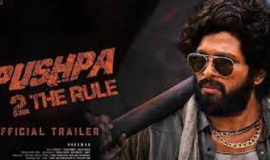 सीसीटीवी फुटेज में नजर आया पुष्पा, 'पुष्पा कहां है?' वीडियो देखे लोग बोले- पठान डेंजर जोन में है