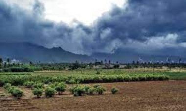 भारत में इस साल सामान्य रहेगा मॉनसून : मौसम विभाग