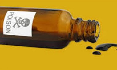 कक्षा पहली से छठवीं तक के 80 स्कूली छात्राओं को दिया जहर