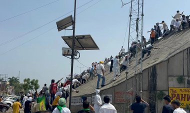 हरियाणा के किसानों का धरना खत्म, सरकार ने मानी सूरजमुखी MSP पर खरीदने की मांग
