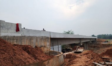 3.41 करोड़ की लागत से 51 साल बाद बना झिकी नाला कालिबा का गणेश पुल, संसदीय सचिव यू. डी. मिंज ने किया लोकार्पण