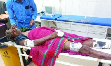 खेत में काम कर रहा था किसान, तभी जंगली सूअर ने कर दिया हमला