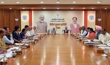 बीजेपी ने MP-छत्तीसगढ़ चुनावों के लिए रणनीति में बदलाव के दिये संकेत