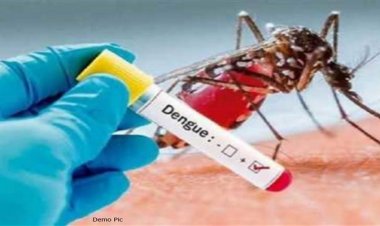 रायपुर में डेंगू का कहर, दो की मौत