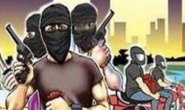 वृद्ध महिला के कनपटी में बंदूक रखकर लूट का प्रयास, नौकरी मांगने घुसा था घर, महिला ने दिखाई गजब की बहादुरी