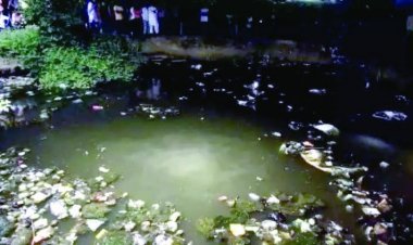 आवारा कुत्तों से बचने बच्ची ने लगाई दौड़, डबरी में गिरने से हुई मौत