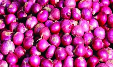 मार्च 2024 तक प्याज के निर्यात पर पूरी तरह रोक, अब नहीं बढ़ेंगे प्याज के दाम