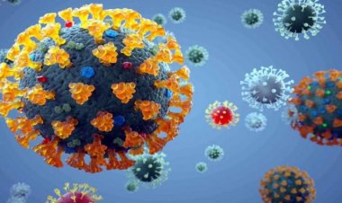 देश के इन 11 राज्यों में फैला कोरोना