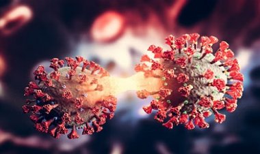 बिलासपुर में पहला कोरोना पाजिटिव मरीज