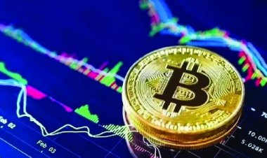 क्रिप्टो करेंसी मामले में दो करोड़ की संपत्ति सीज