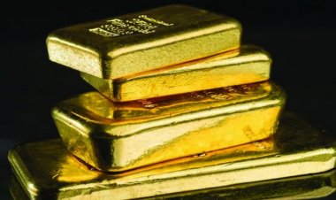 कस्टम विभाग ने पकड़ा 4 करोड़ 66 लाख रुपये से ज्यादा का सोना