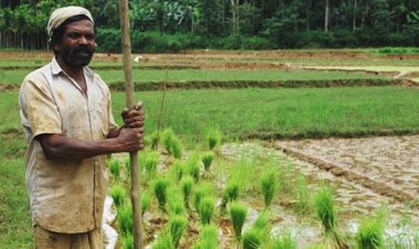 अब अन्य वर्ग को भी अपनी जमीन बेच सकेंगे आदिवासी, हाईकोर्ट ने दी अनुमति...