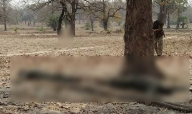 छत्तीसगढ़ में 32 नक्सलियों का खात्मा, मुठभेड़ जारी, नक्सलियों के शव सहित एके-47 राइफल, एसएलआर जैसी ऑटोमेटिक बंदूकें व भारी मात्रा में विस्फोटक बरामद