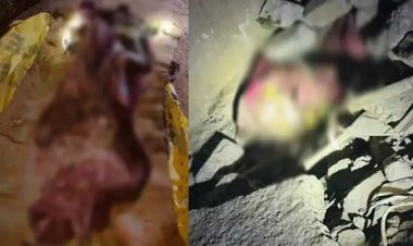 कलर्स मॉल के पास मिला युवती का शव