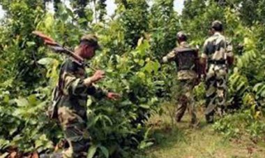 तेलंगाना में पुलिस मुठभेड़ में सात माओवादी ढेर