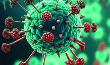 HMPV वायरस ने बढ़ा दी है भारत की चिंता, अब तक 6 मामले आए सामने, जाने इसका लक्षण