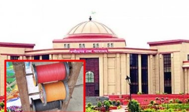 छत्तीसगढ़ में चाइनीज मांझा को लेकर हाईकोर्ट हुआ सख्त, मुख्य सचिव को नोटिस जारी