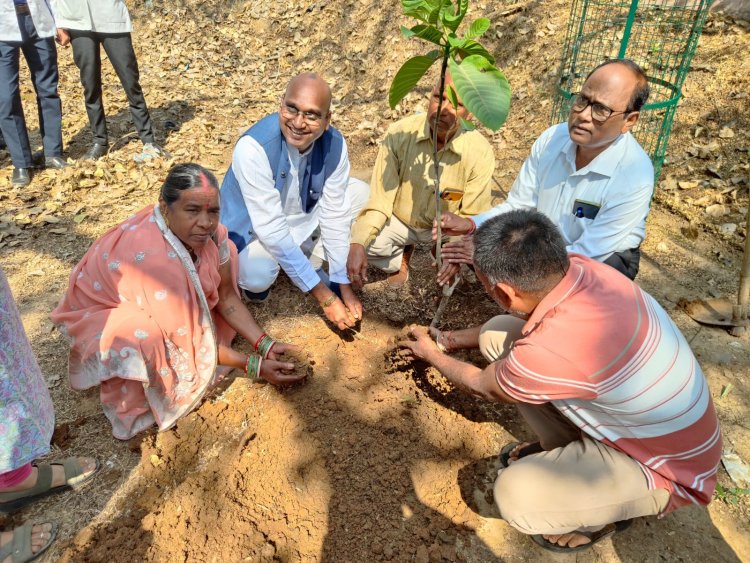 देहदानी देवनाथ सिंगरौल के प्रथम पुण्यतिथि में आयुर्वेदिक महाविद्यालय परिवार ने कदम का पेड़ रोपड़ कर देहदान के महत्व को याद किए