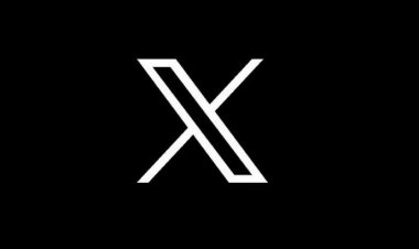 भारत सरकार पर एलन मस्क की कंपनी एक्स ने किया मुकदमा