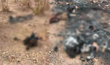 छत्तीसगढ़ राज्य  महिला की मिली जली हुई लाश