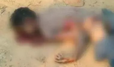 रायगढ़  हाथी ने उसे सुंड से उठाकर पटक-पटक कर मार डाला