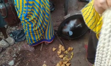 कुर्सी संभालते ही दुर्ग SP का बड़ा एक्शन, आरक्षक कुंदन सिंह को किया निलंबित, ठेले वाले को पैसा मांगने पर सिपाही ने बुरी तरह पीटा