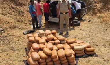 80 लाख का गांजा समेत तस्कर गिरफ्तार, कार में लगा रखा था फर्जी नंबर प्लेट