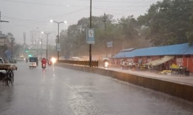 मानसून ने पकड़ी रफ्तार: रायपुर समेत कई जिलों में झमाझम बारिश