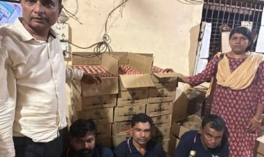 कंपोजिट दुकान में बिक रही थी मिलावटी शराब, 250 पेटी जब्त