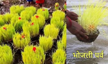 छत्तीसगढ़ राज्य की अनोखी परंपरा है-भोजली, अच्छी फसल से लेकर दोस्ती तक का प्रतीक: भोजली तिहार