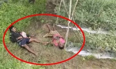 खेत में करंट की चपेट में आने से पिता-पुत्र की मौत, गांव में सनसनी