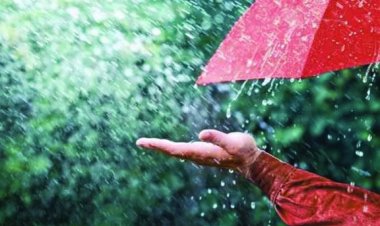 छत्तीसगढ़ में बारिश का अलर्ट: रायपुर समेत 20 से ज्यादा जिलों में भारी बारिश की चेतावनी