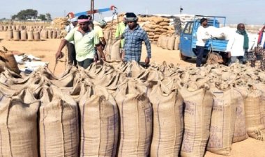 नवंबर माह में शुरू होगी धान खरीदी, कृषि मंत्री ने दी जानकारी...