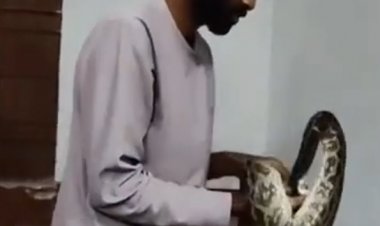 बेंच के नीचे बैठा था अजगर, क्लासरूम में मची अफरातफरी...