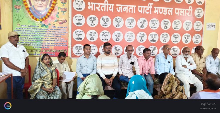 प्रधानमंत्री मोदी जी के रायपुर आगमन को लेकर मण्डल पलारी का बैठक सम्पन्न हुआ।