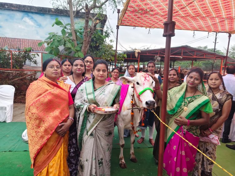 विश्वहिंदू परिषद मातृ शक्ति के नेतृत्व में गोपाष्टमी का कार्यक्रम