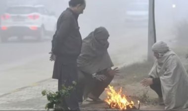 मध्यप्रदेश में कोल्ड वेव का कहर, यूपी और बिहार में छाया कोहरा